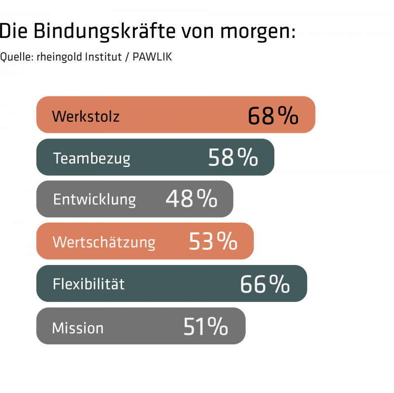 Die Prozentangaben zeigen, wie viel Prozent der Befragten den jeweiligen Faktor als wichtig empfinden.